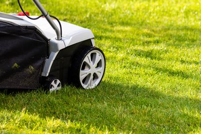 Lawn Mowing